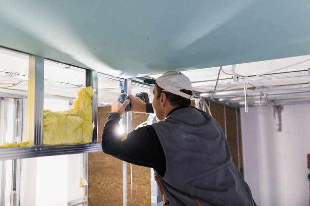 Best Specialized Insulation Services in Indian Mountain Lake, PA